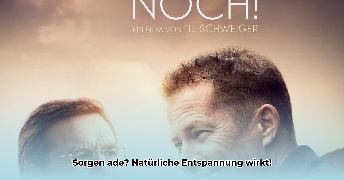 das-beste-heilmittel-gegen-sorgen-ist